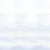 SNOWSCAPE BACKDROP