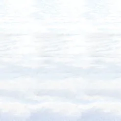 SNOWSCAPE BACKDROP