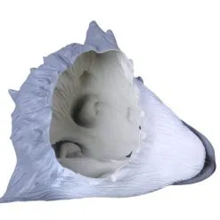 The Bad Guys Mr. Wolf Cosplay Mask -Cheap DECORATIONS Store hlw mask badwolf 4