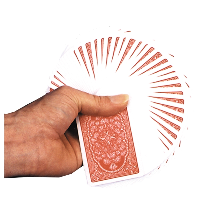 DOUBLE BACK DECK ENARDOE 1 DOUBLE BACK DECK ENARDOE