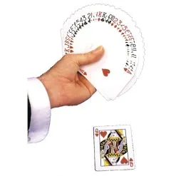 DOUBLE FACE DECK/SAME FACE