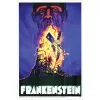 FRANKENSTEIN POSTER CLING