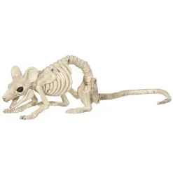 MOUSE CRAWLING SKELETON